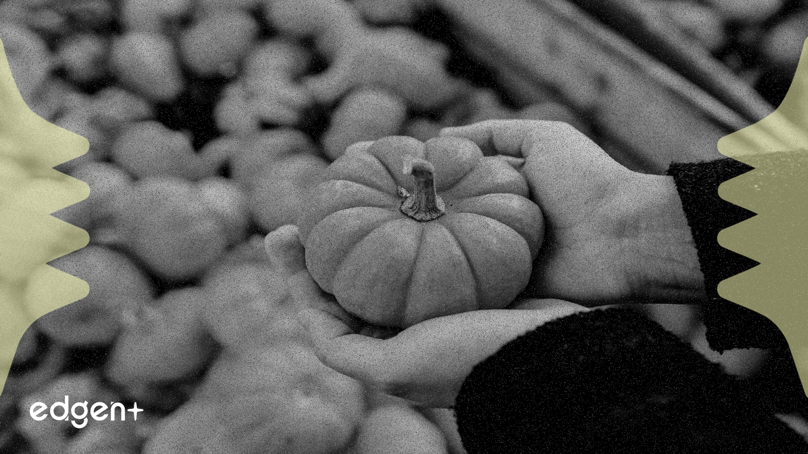 Báo cáo JPMorgan: Thị trường tiền điện tử suy thoái do các nhà giao dịch gốc, không phải tổ chức