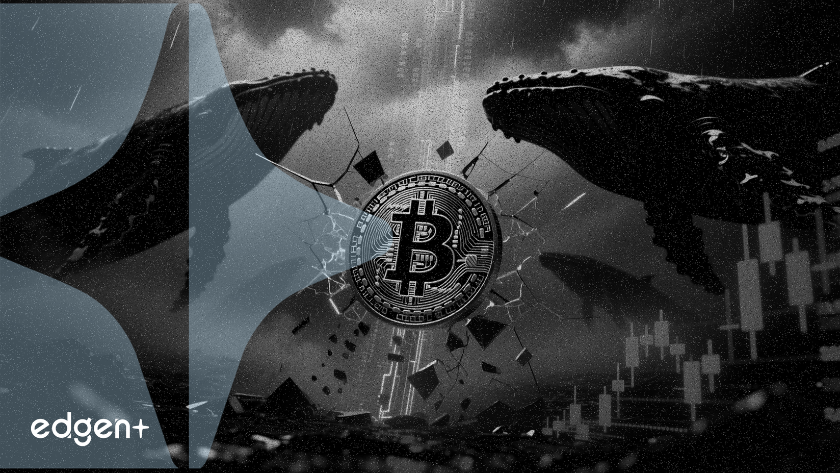 Bitcoin se desploma por debajo de los 65.000 dólares ante el aumento de la venta de ballenas y los temores arancelarios