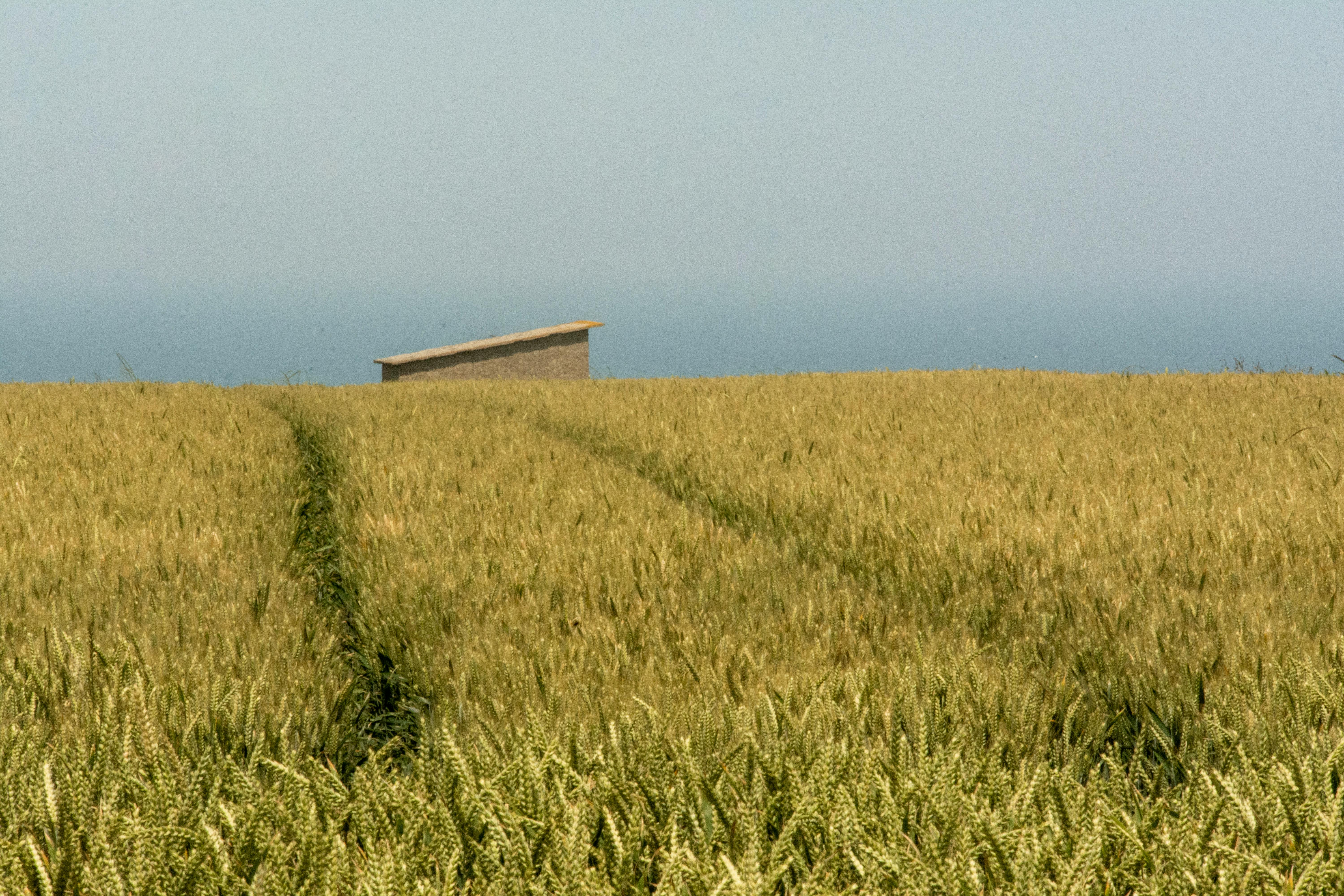 Ero Copper, 운영상의 어려움 속에서도 2분기 강력한 생산량 증가 보고