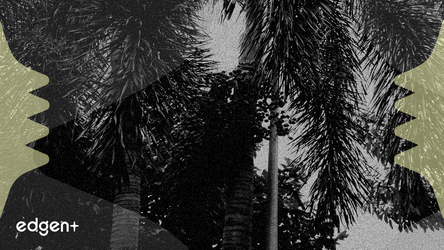 Legal Rulings Pressure Wilmar International Stock