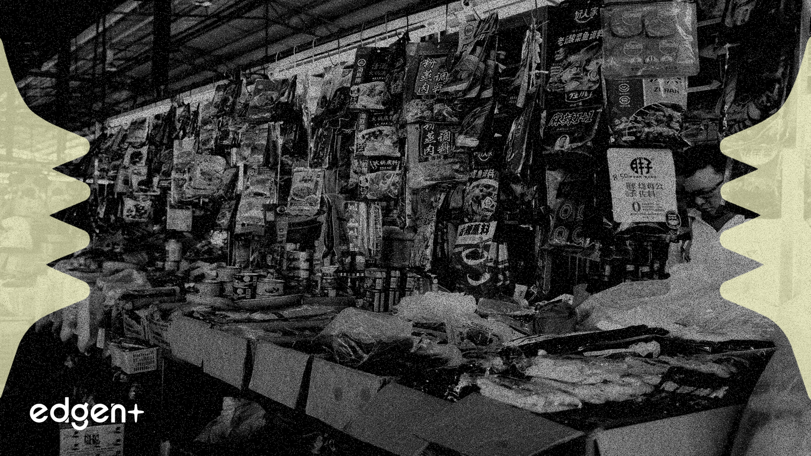 Synergy, P&G 베테랑 영입하여 멕시코 확장 추진