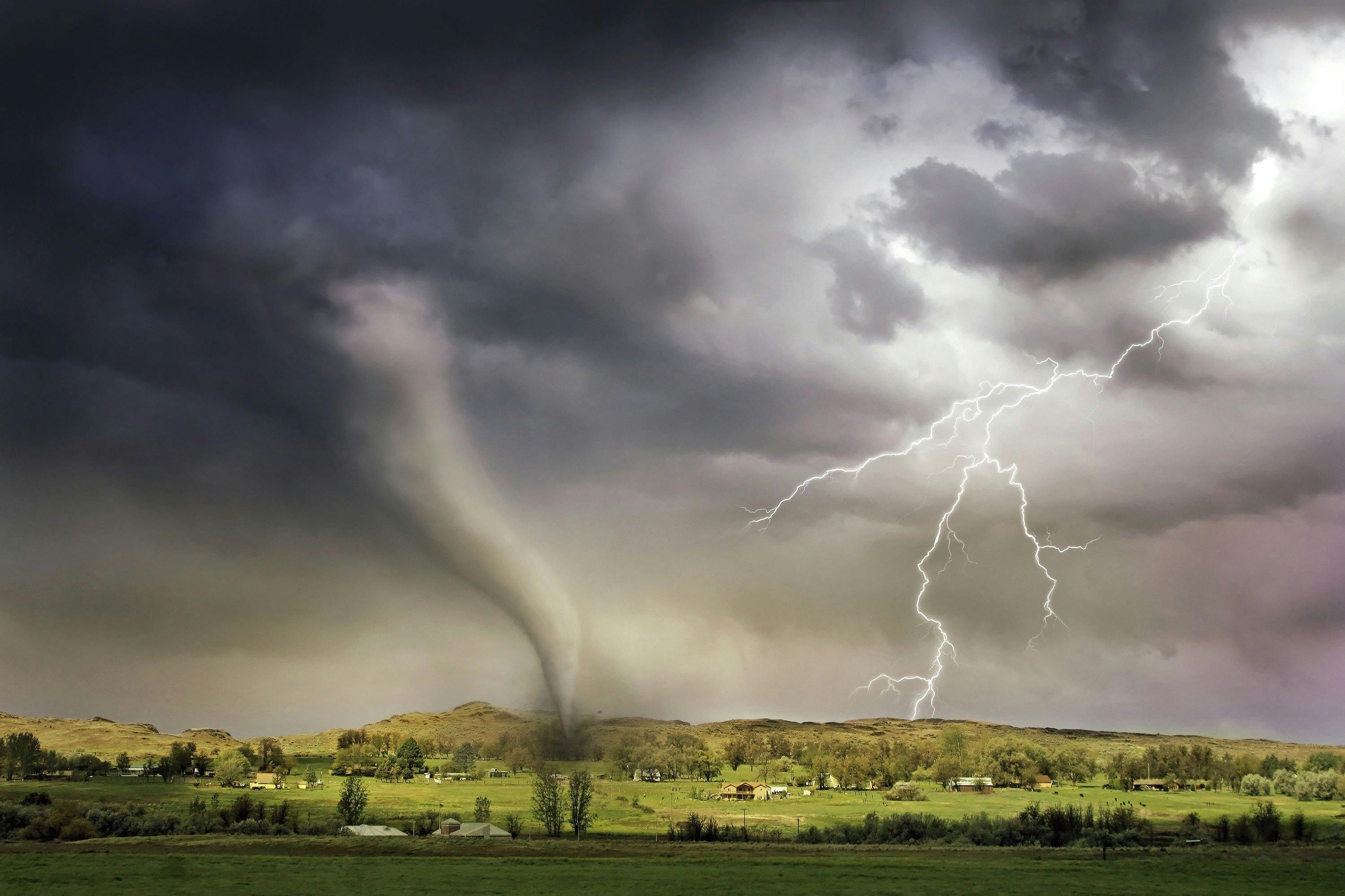 Le verdict de culpabilité de Roman Storm établit un précédent pour la responsabilité des développeurs DeFi