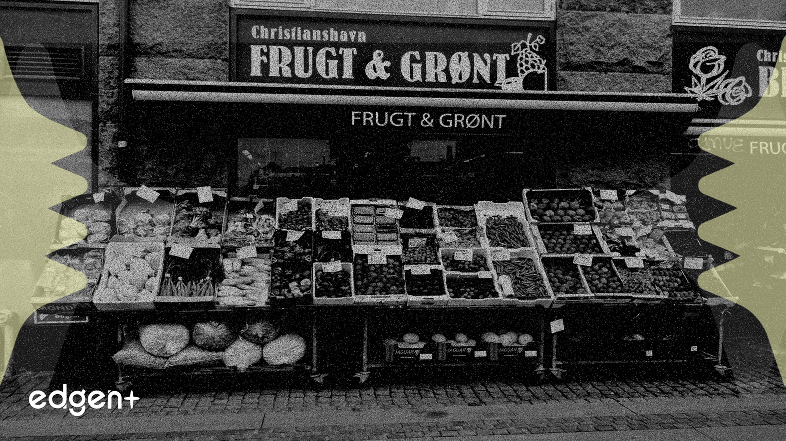 Apollo adquirirá participación mayoritaria en el minorista francés Prosol