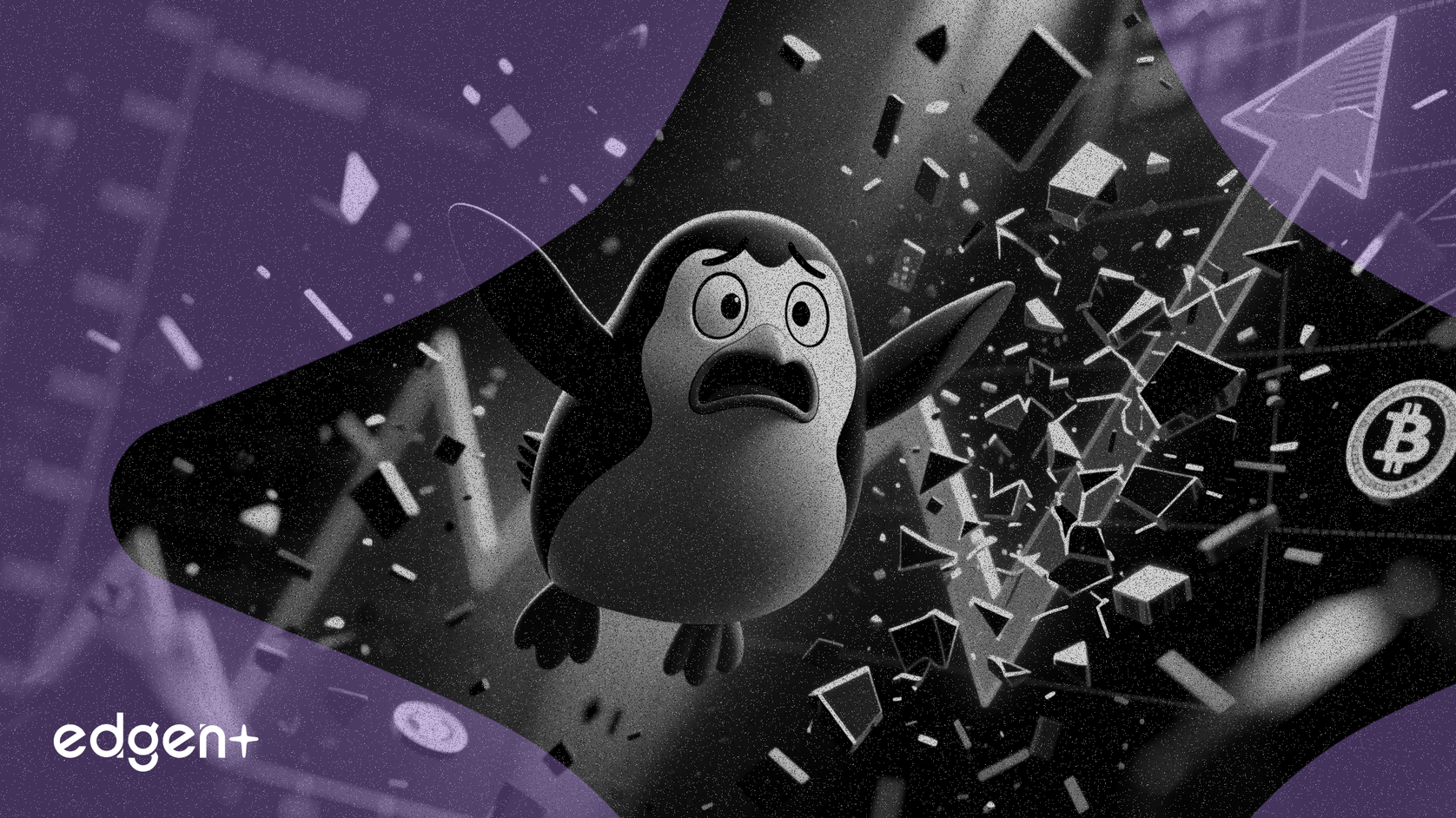 과열된 고점 이후 PENGUIN 토큰 75% 폭락