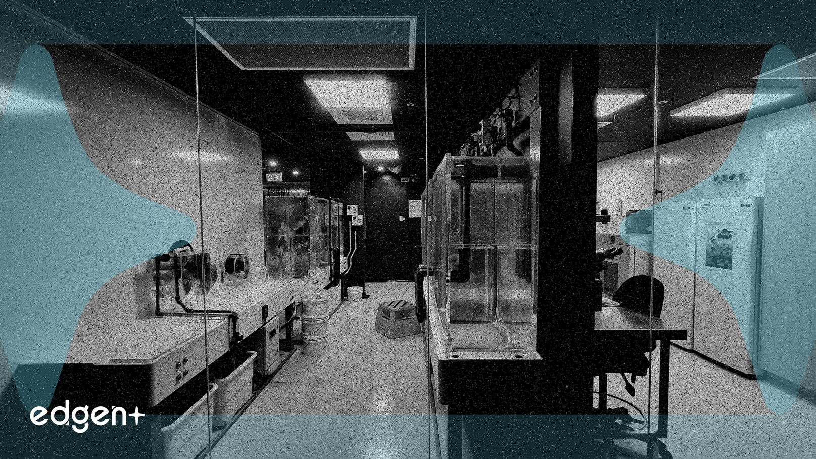 L'action Lam Research baisse malgré de solides résultats et un chiffre d'affaires supérieurs aux attentes au T1