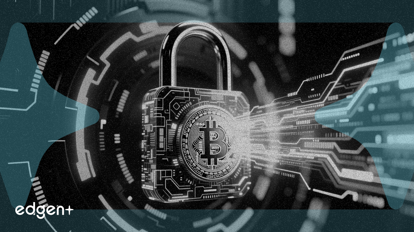 Zama, 새로운 암호화 방식을 활용한 토큰 경매 시작 예정