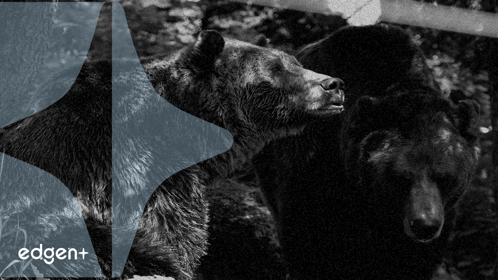 Nvidia Kazançları Öncesinde Yapay Zeka Balonu Korkuları Yoğunlaşırken Çip Hisseleri Genel Olarak Düştü