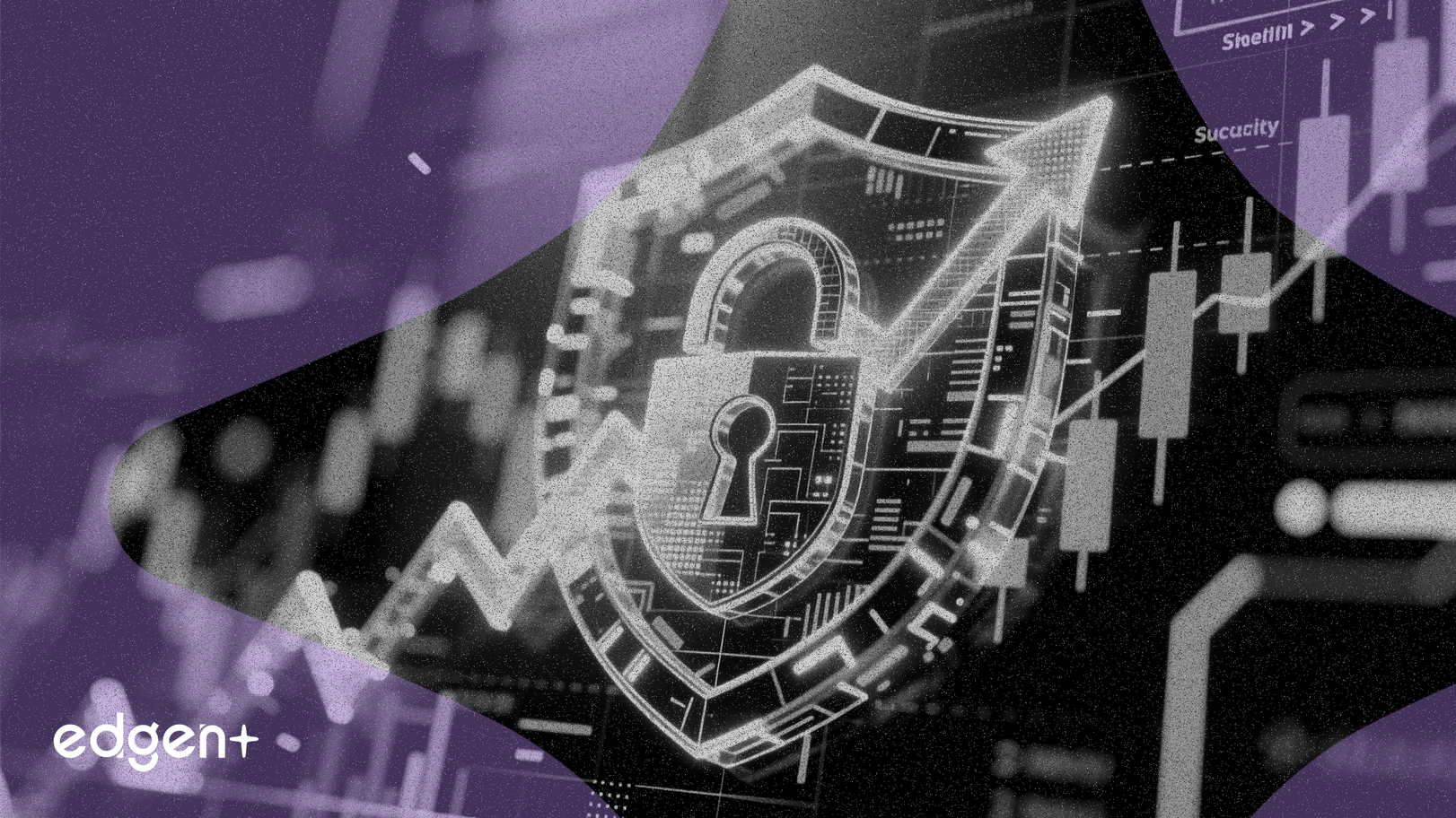 Allot Stock Climbs 10.4% as Security Revenue Grows 60%