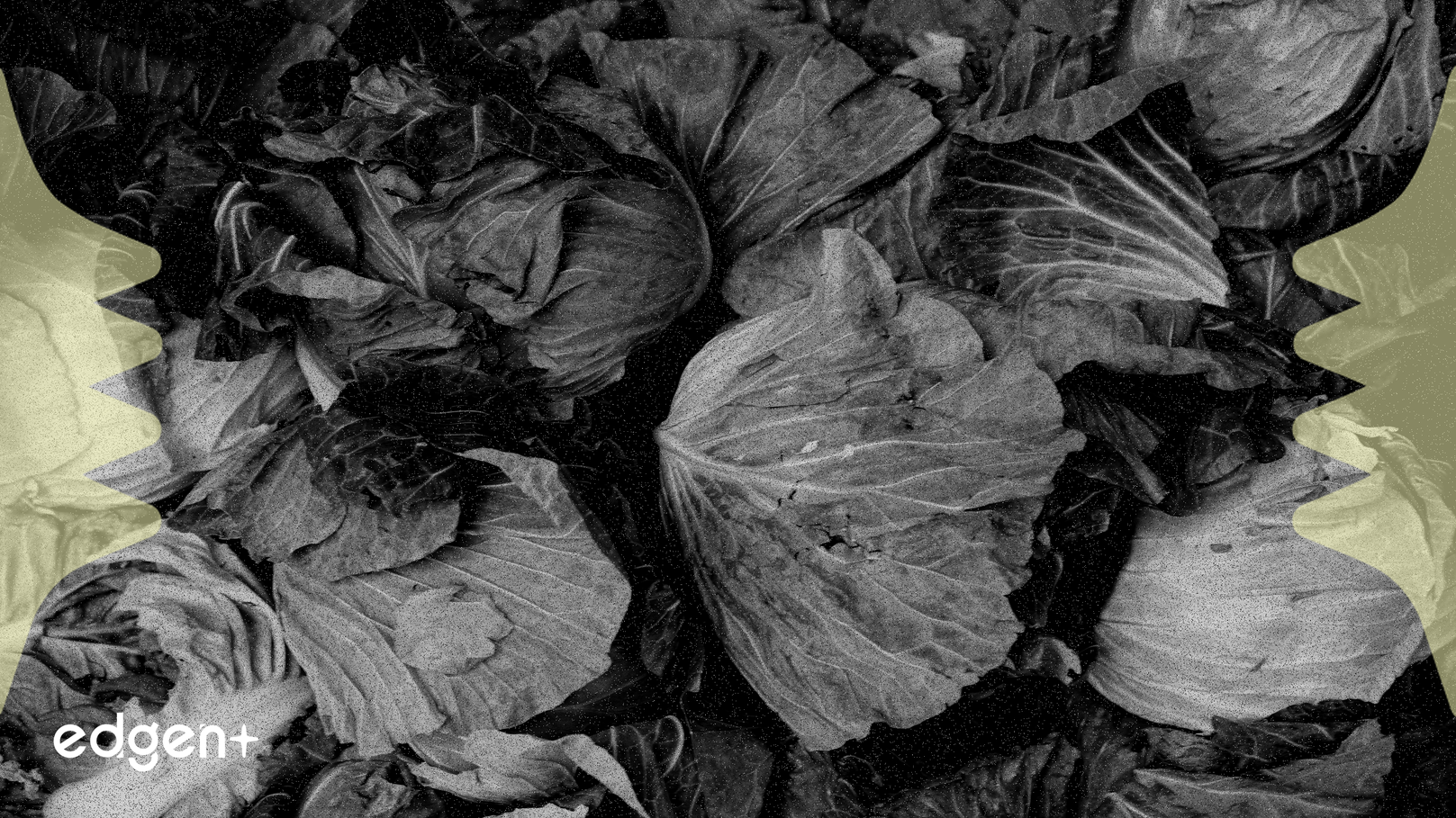 Green Thumb Industries Stock Advances Following $50 Million Share Repurchase Authorization