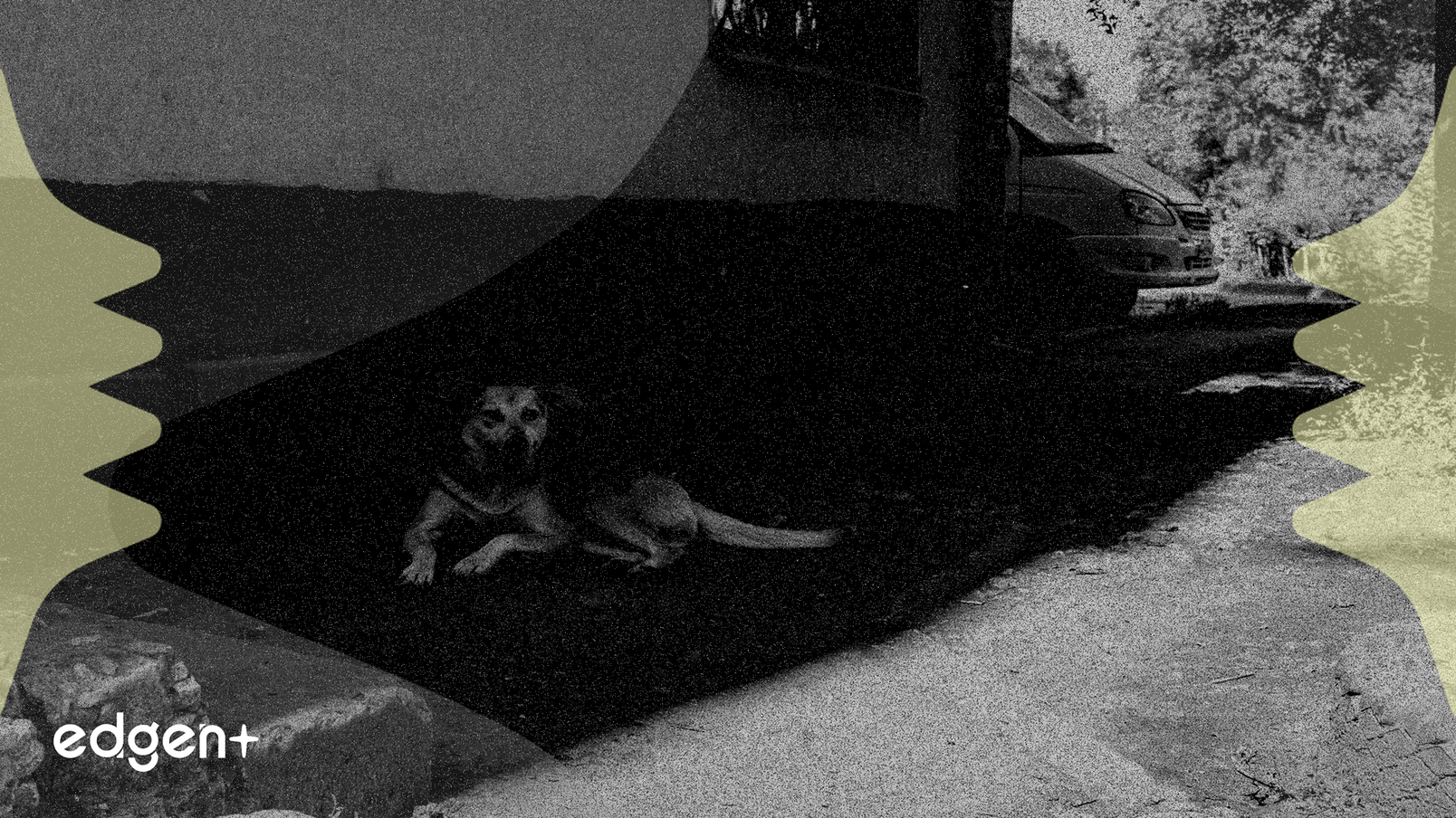 Elanco Secures First FDA Approval for Screwworm Drug