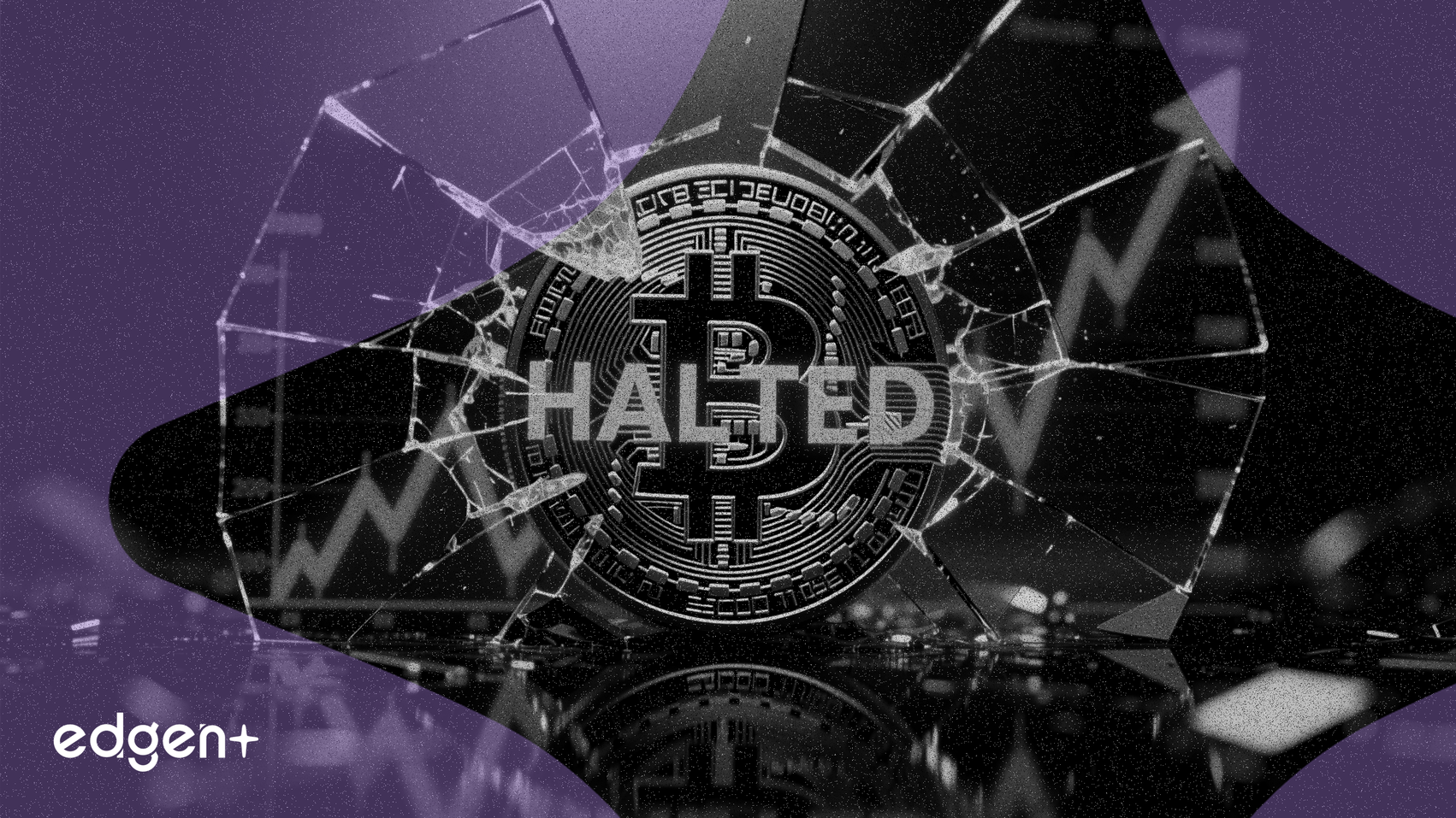 Blockfills suspende retiros y busca comprador tras pérdida de $75 millones