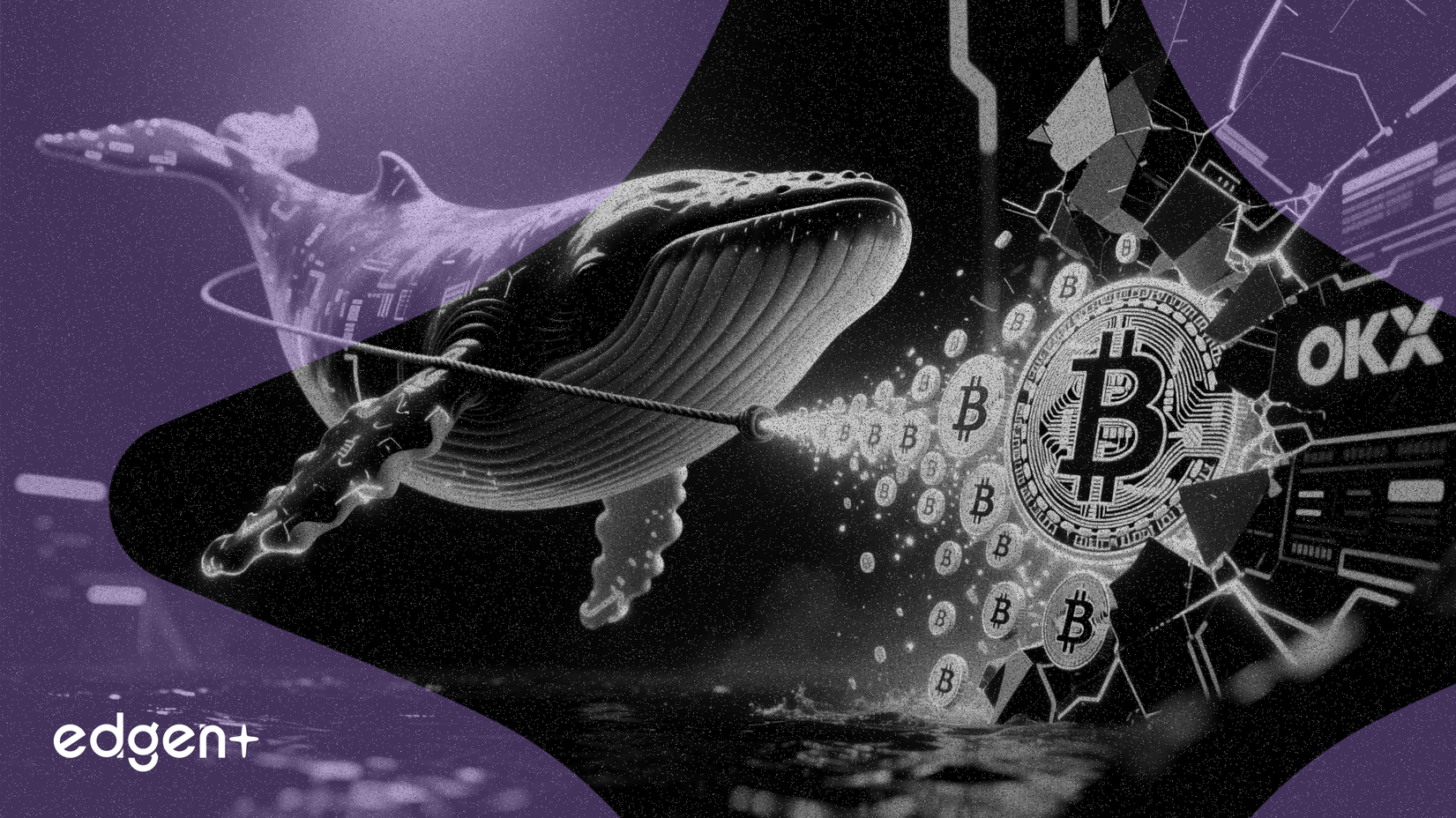 大口投資家、OKX取引所から8,920万ドル相当のビットコインを引き出し