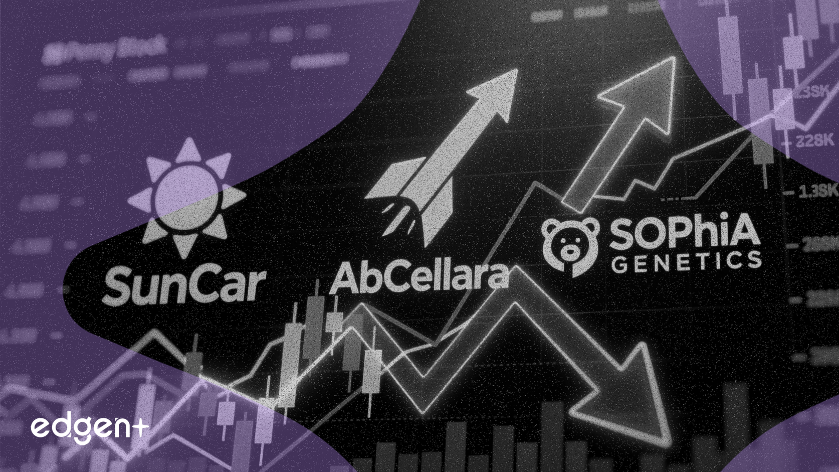 페니 주식 SunCar, AbCellera 및 SOPHiA GENETICS 분석에서 대조적인 전략이 밝혀짐