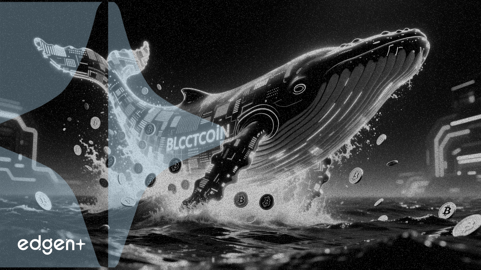 Ballena retira 853,5 millones de tokens PUMP, señalando un posible repunte