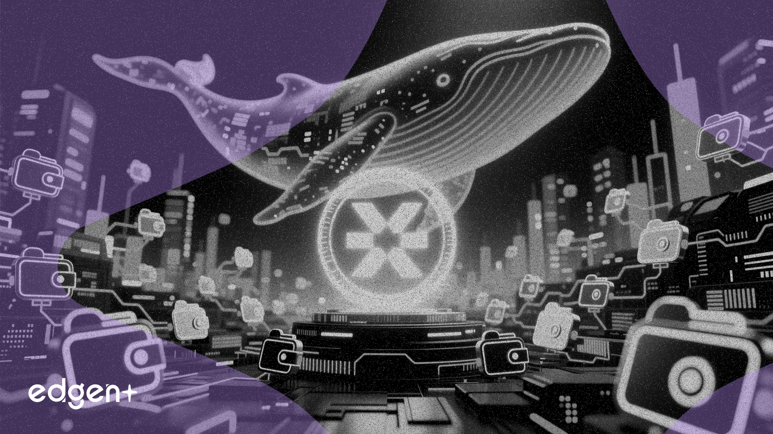 Les baleines XRP ajoutent 42 portefeuilles de millionnaires en 2026