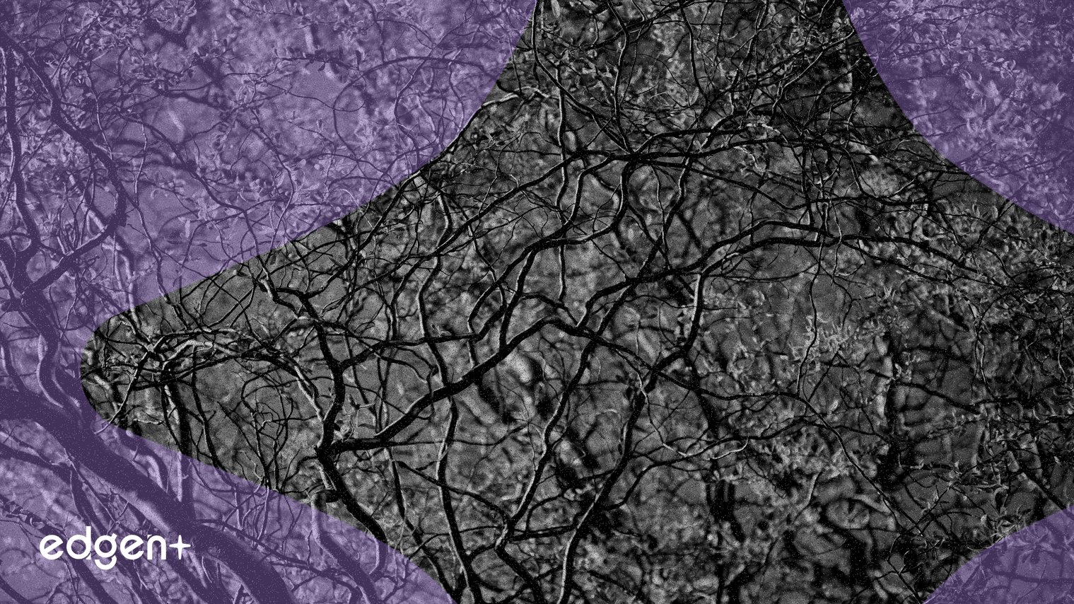 Celestia's 'Matcha' Upgrade Boosts Network Capacity and Reduces Token Inflation