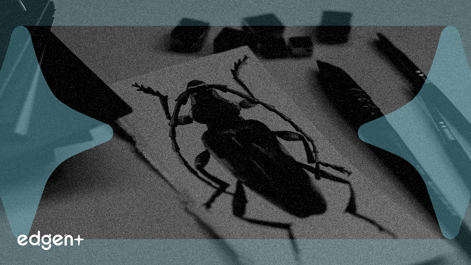 New Anticoagulants to Drive Pulmonary Embolism Market Growth Through 2035