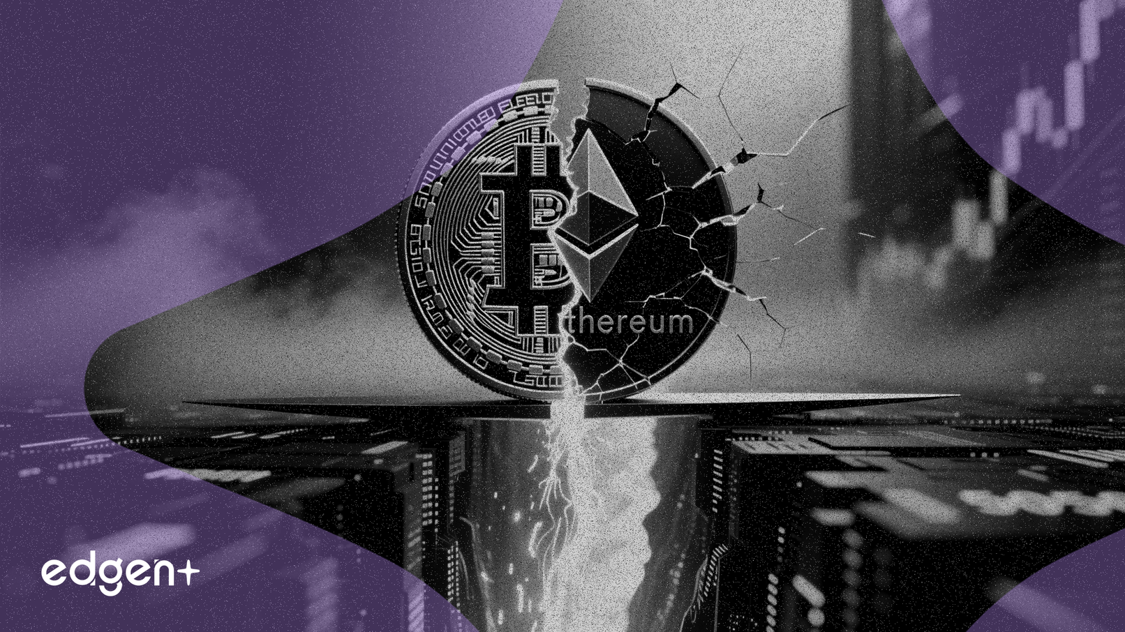 加密貨幣去槓桿化造就歷史性的50/50市場分化