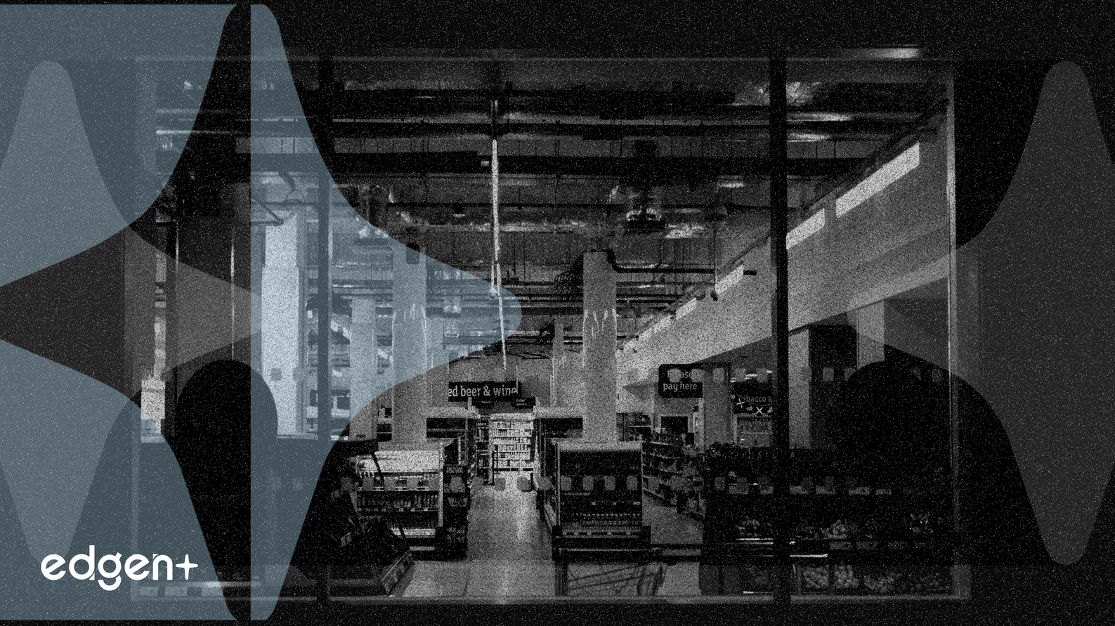 位列亞馬遜前四後，Voniko 著眼零售擴張