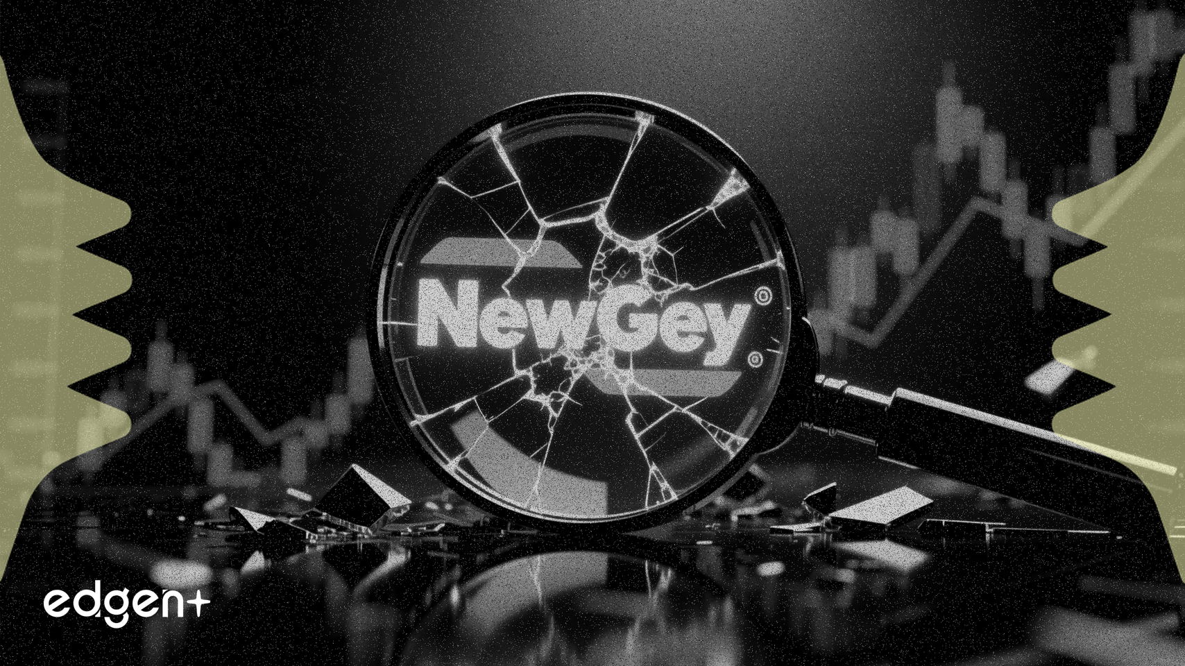 Newegg Yanıltıcı Yatırımcı Bilgileri Nedeniyle Soruşturma Altında