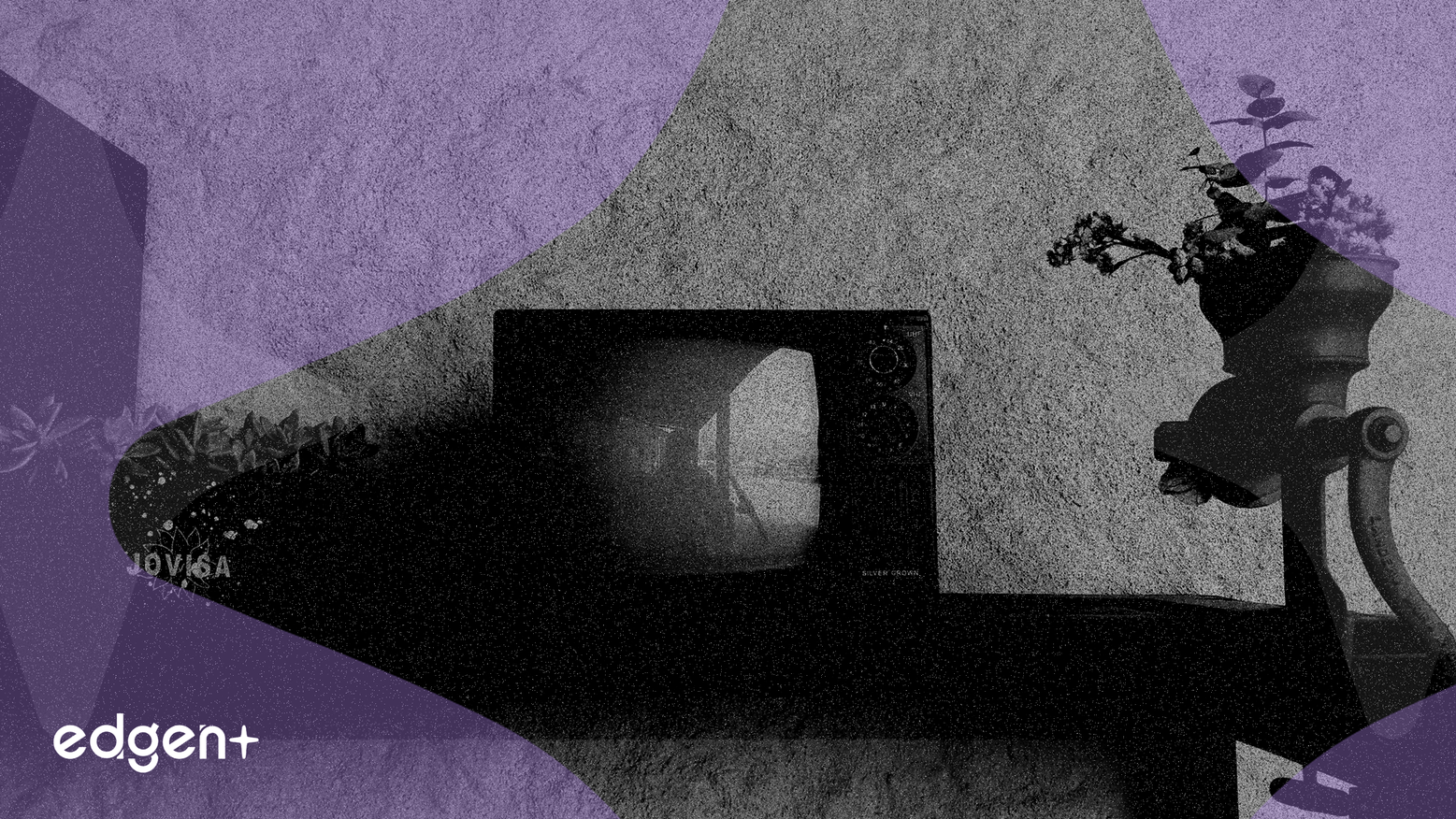 Meta Stock Climbs 1.49% on Instagram Reels TV Debut