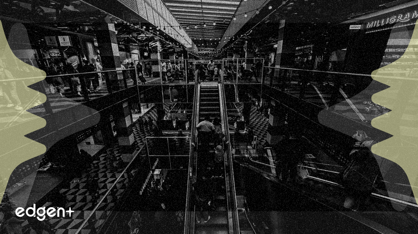 Các Gã Khổng Lồ Bán Lẻ Thể Hiện Con Đường Hiệu Suất Phân Kỳ