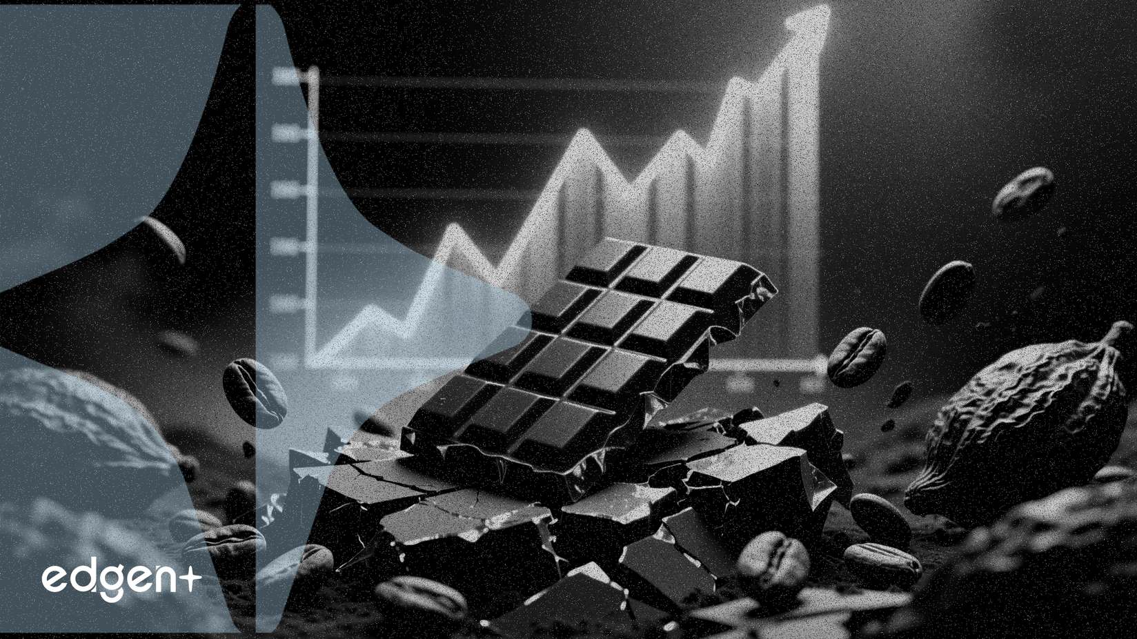 Les prix du cacao chutent de 50%, mais les coûts du chocolat restent élevés