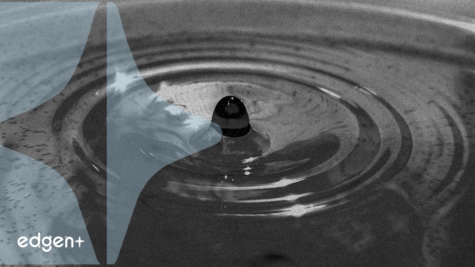 Ripple Secures $500 Million Investment Led by Fortress and Citadel Securities