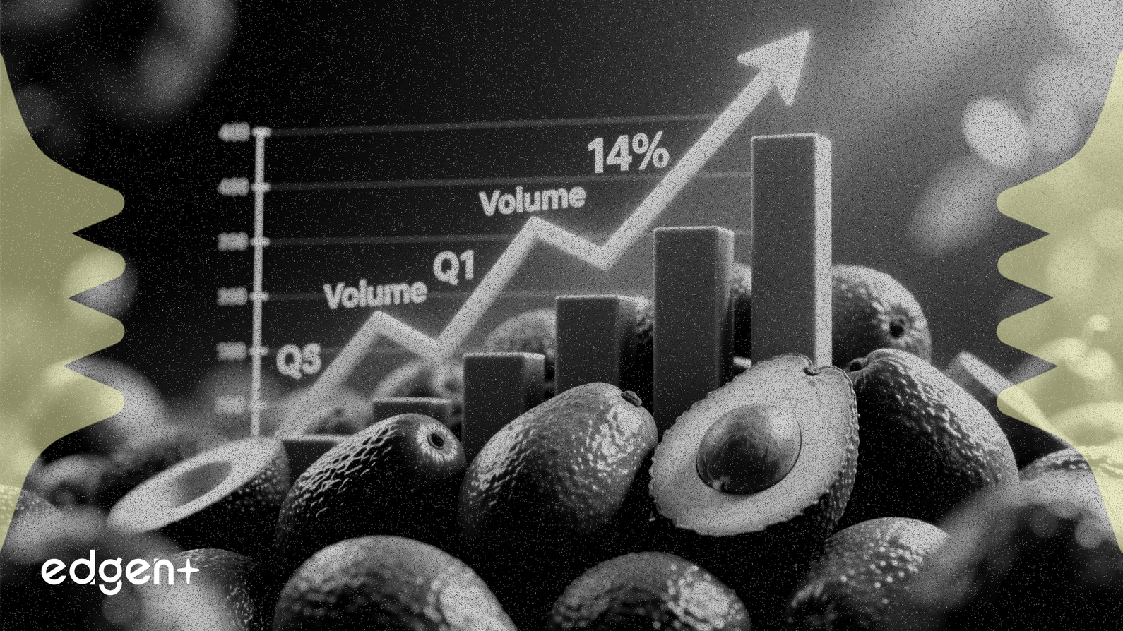 Mission Produce Avokado Hacmini %14 Artırdı, 1. Çeyrek Tahminlerini Aştı