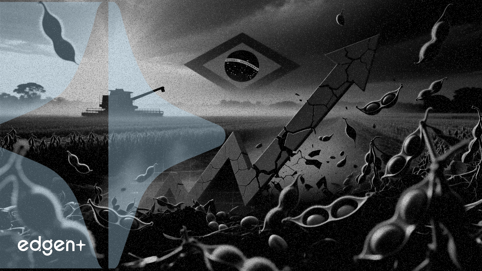 巴西大豆豐收季臨近，美國大豆期貨下跌 10%