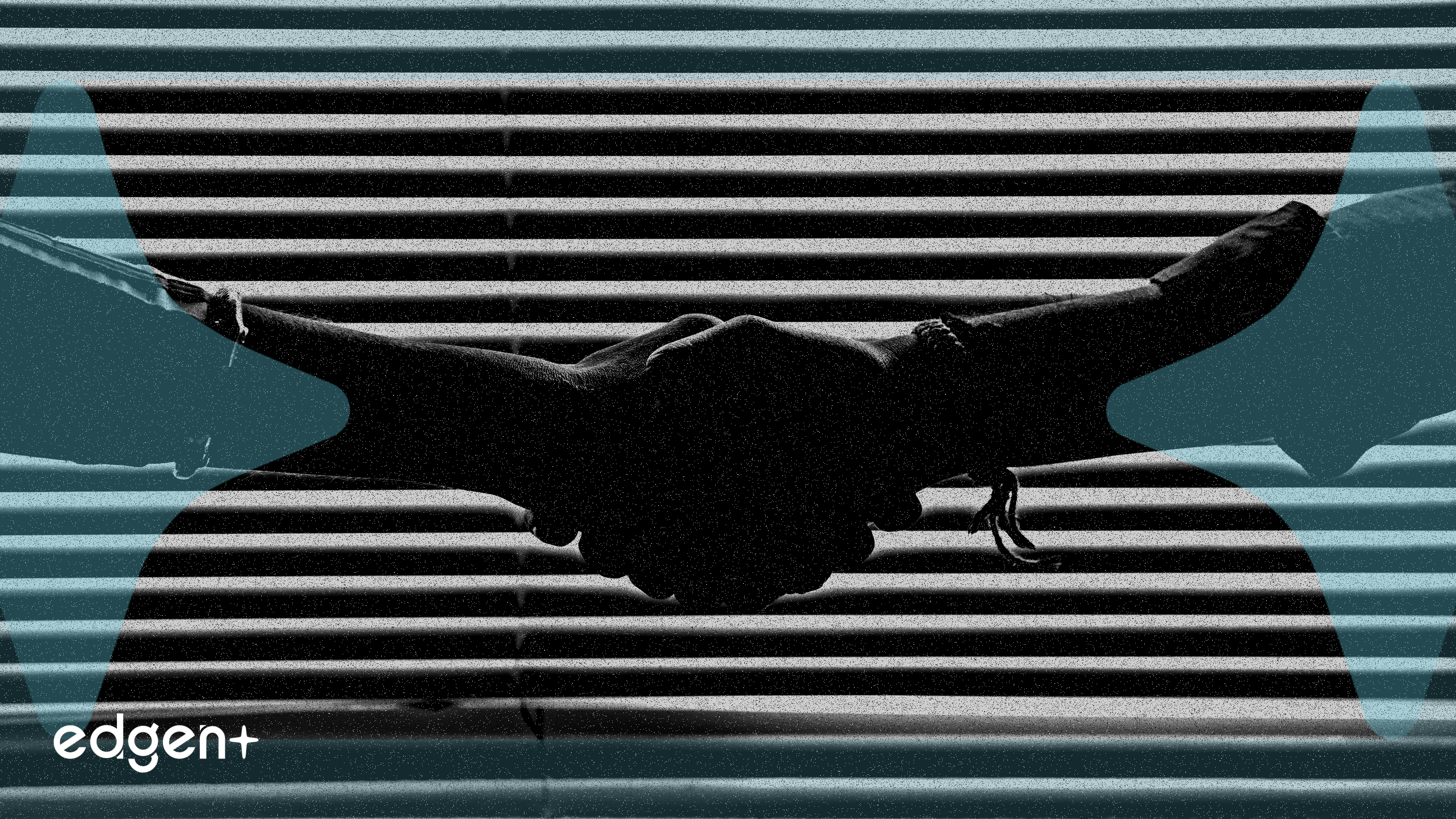 Tether 的 Hadron、KraneShares 和 Bitfinex Securities 结成联盟,加速代币化证券的采用