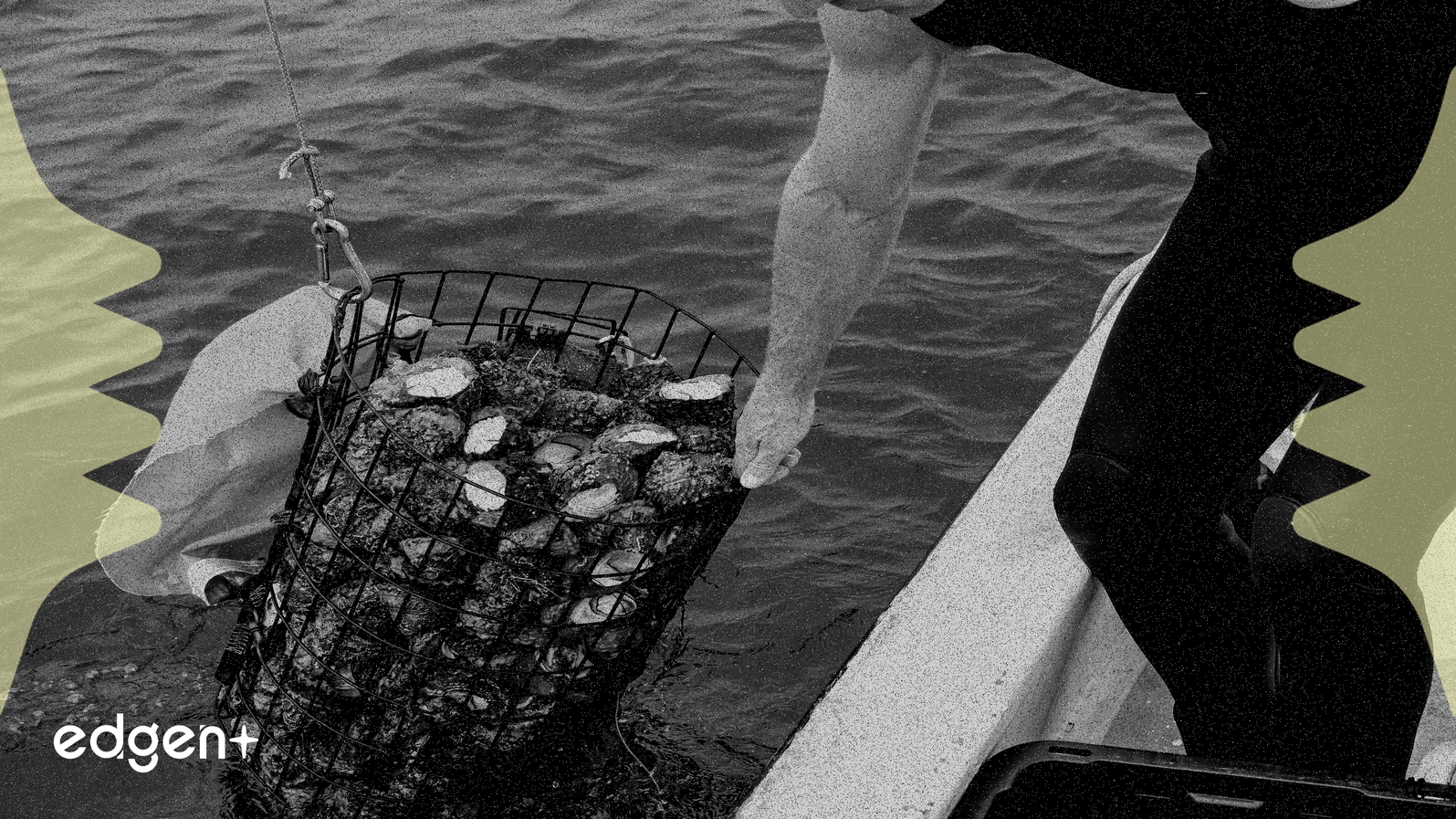 Shell se retire d'un grand projet éolien offshore en raison des changements de politique américaine