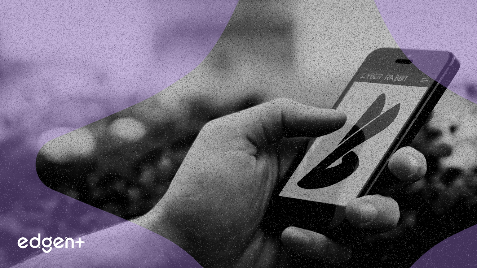 Technology Sector and Regional Banking Drive Market Activity