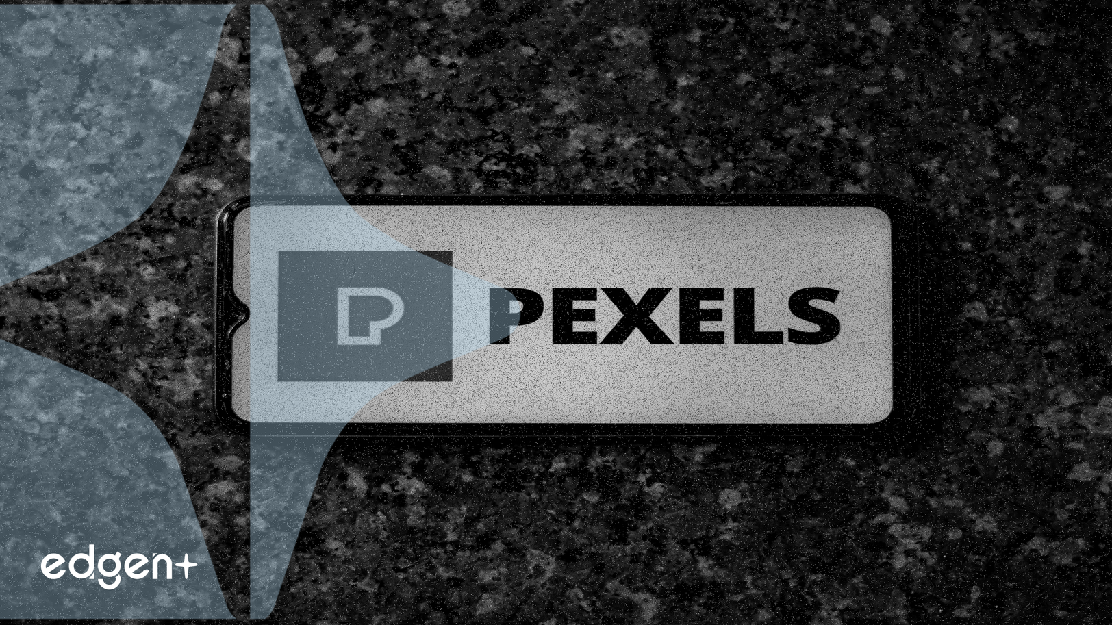 Bankr AI加密機器人短暫暫停後恢復X平台營運,Telegram禁令持續