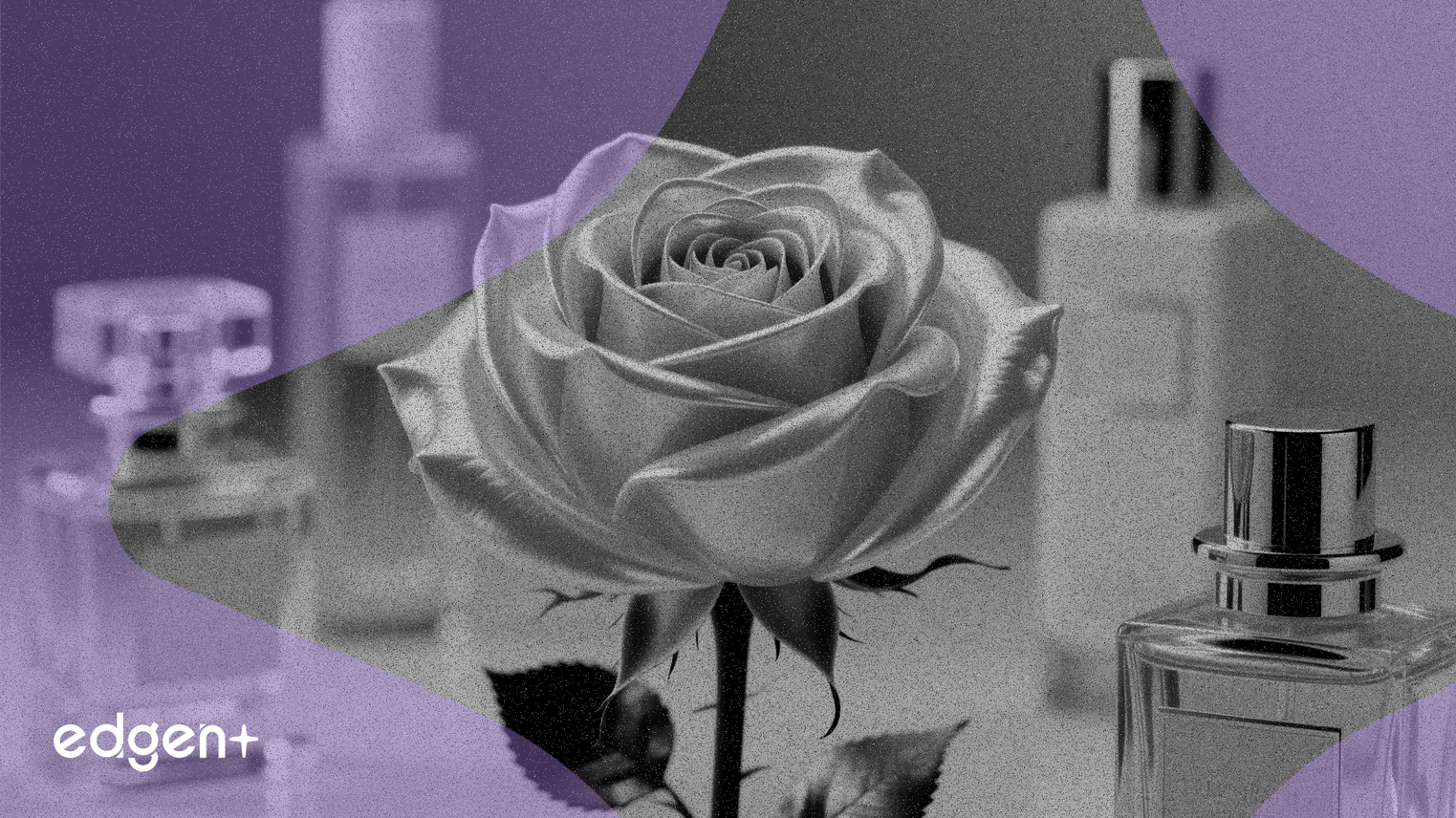 Bath & Body Works Dévoile sa Collection de Parfums à la Rose 2026