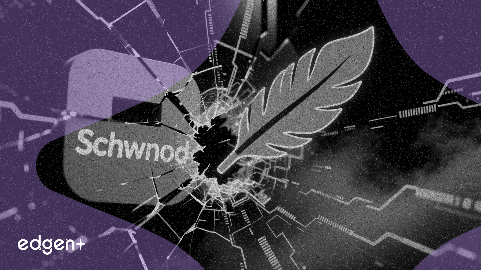 ロビンフッド株203%高騰、シュワブのバリュー戦略に挑戦