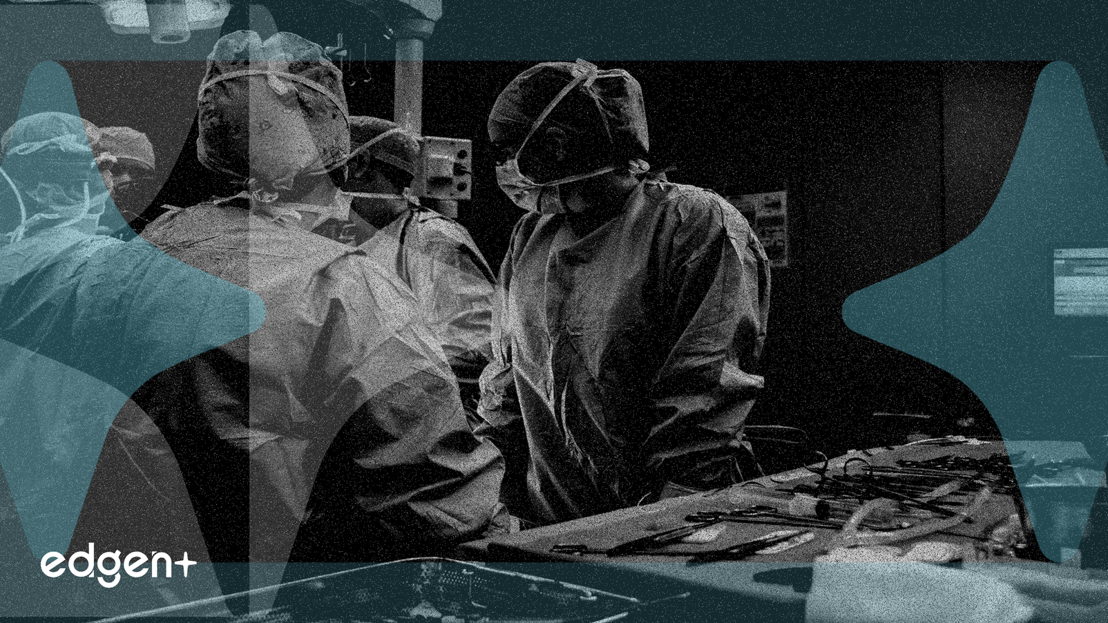 S&P 500 Reveals Divergent Sector Fortunes