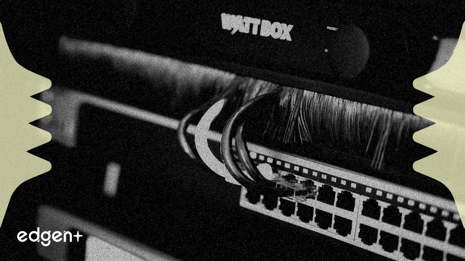 Las acciones de infraestructura de IA superan a los gigantes con un crecimiento del 1.250% en ganancias