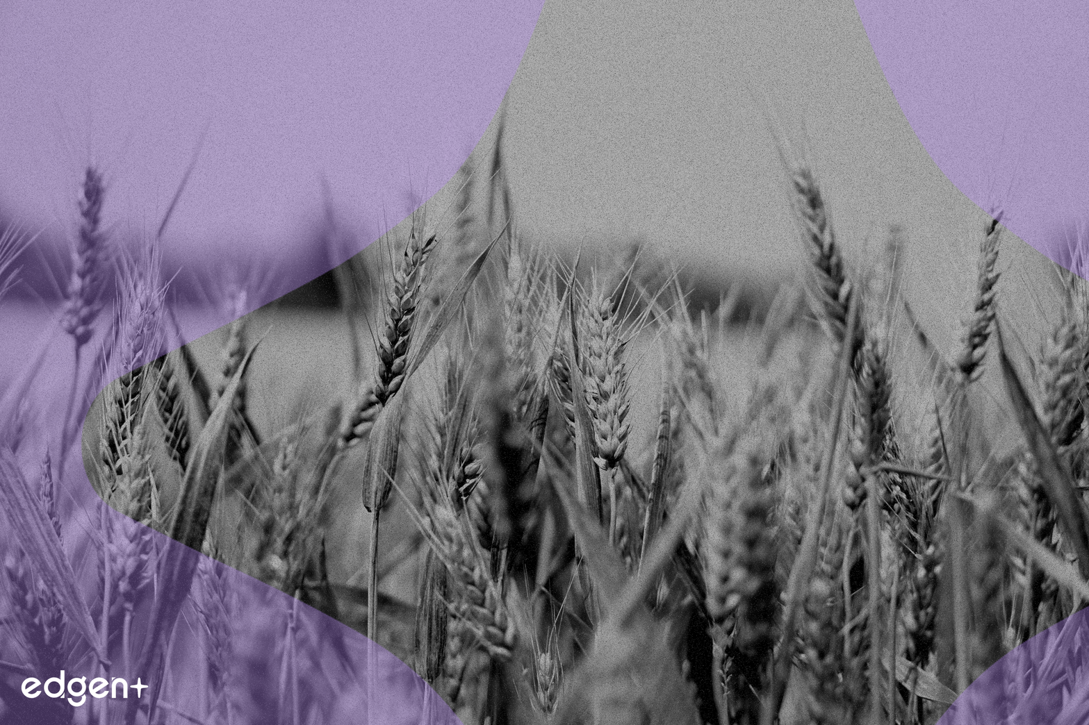 FalconX 推出首個以太坊質押收益遠期，增強機構 DeFi 風險管理