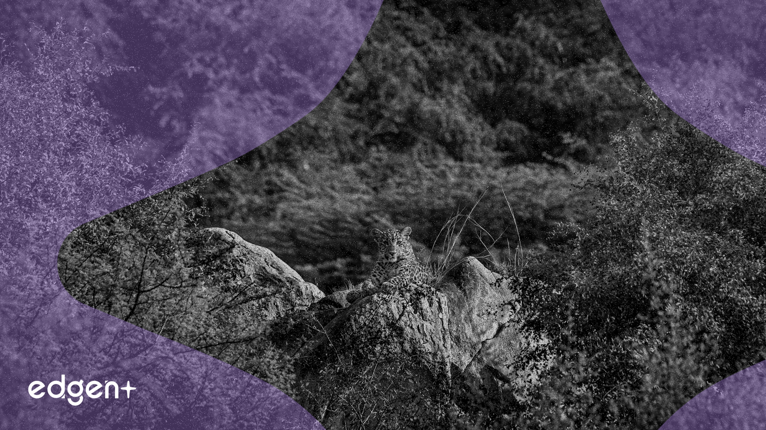 OKX, PROVE (Succinct) ve DOOD (Doodles) Spot İşlem Çiftlerini Listeleyecek