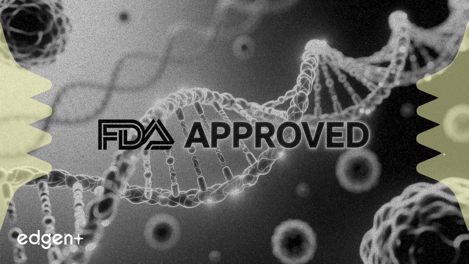 Greenwich LifeSciences giành được sự chấp thuận của FDA cho thuốc thử nghiệm ung thư