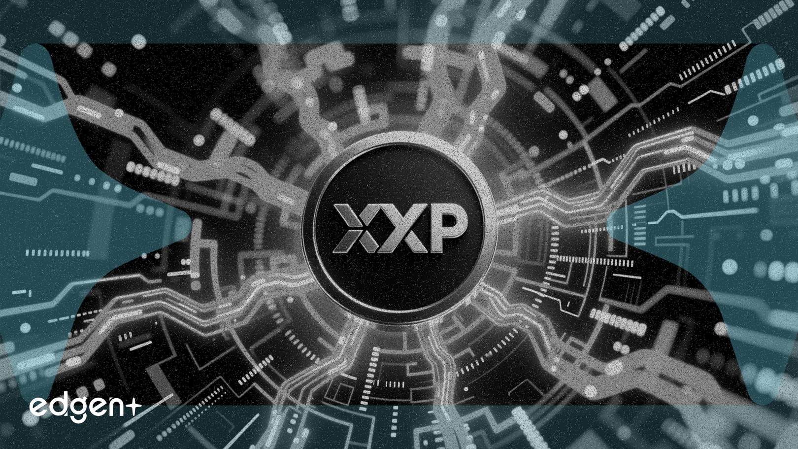 XRP Ledger Aktivitesi %20 Arttı, Ağ Genişlemesine İşaret Ediyor