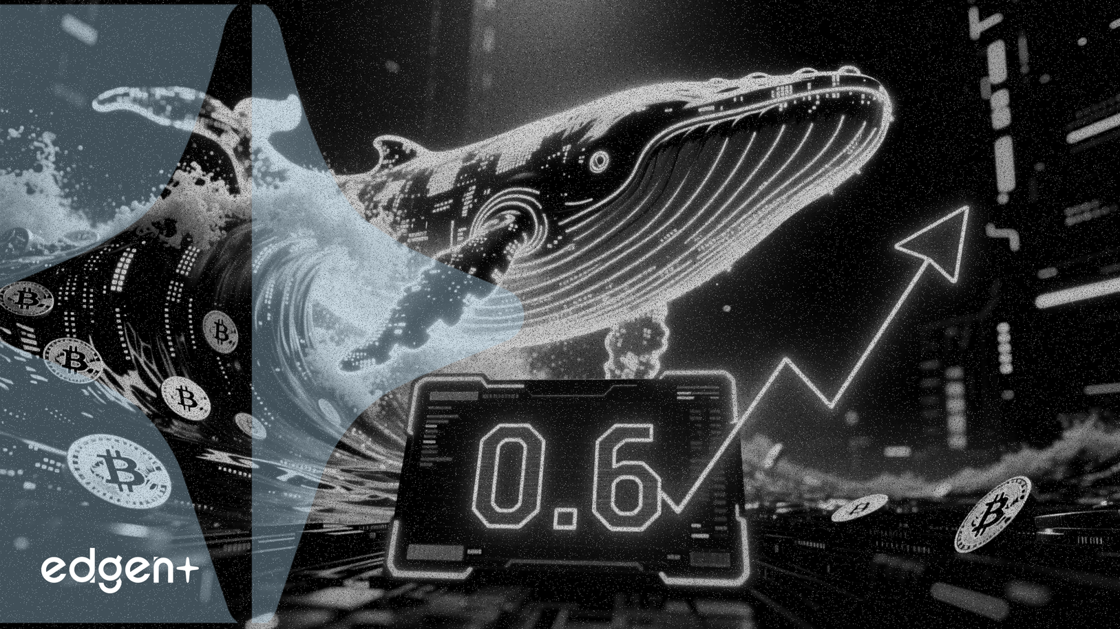 Los depósitos de ballenas de Bitcoin se disparan mientras una relación clave alcanza 0.6