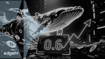 Bitcoin Balina Mevduatları Artarken Anahtar Oran 0.6'ya Ulaştı