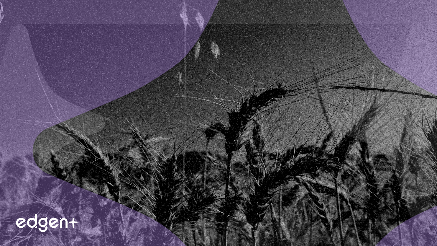 ADM股價在大盤下跌中上漲1%