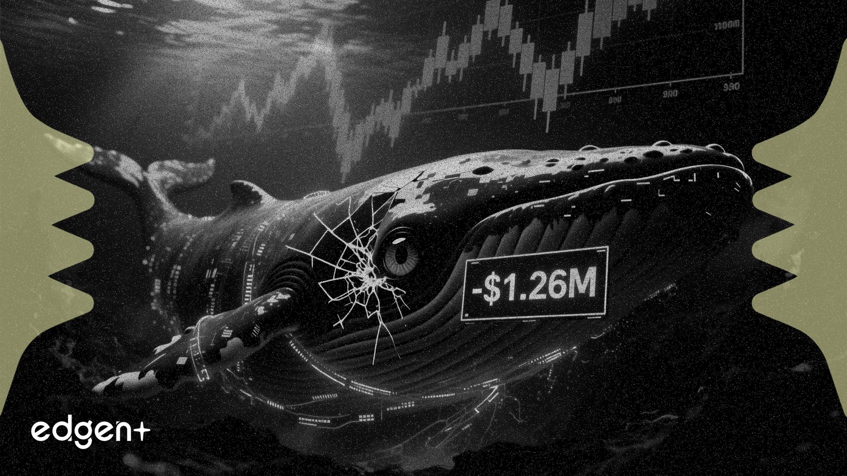 LIT Whale's Long Position Deepens to $1.26M Unrealized Loss