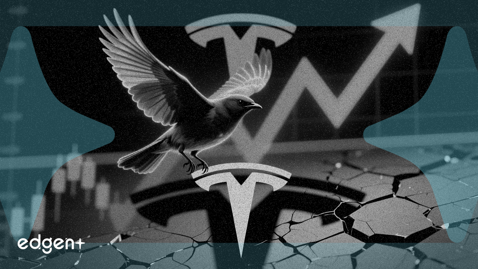 Blue Bird 市盈率比特斯拉低94%，表現超越後者