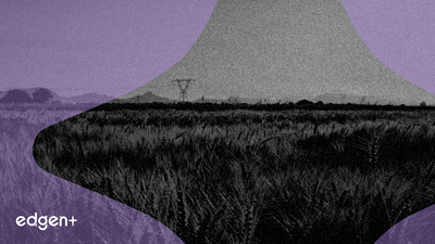 ブンゲ・グローバル株、年初来の好調な業績とまちまちの第3四半期決算で上昇