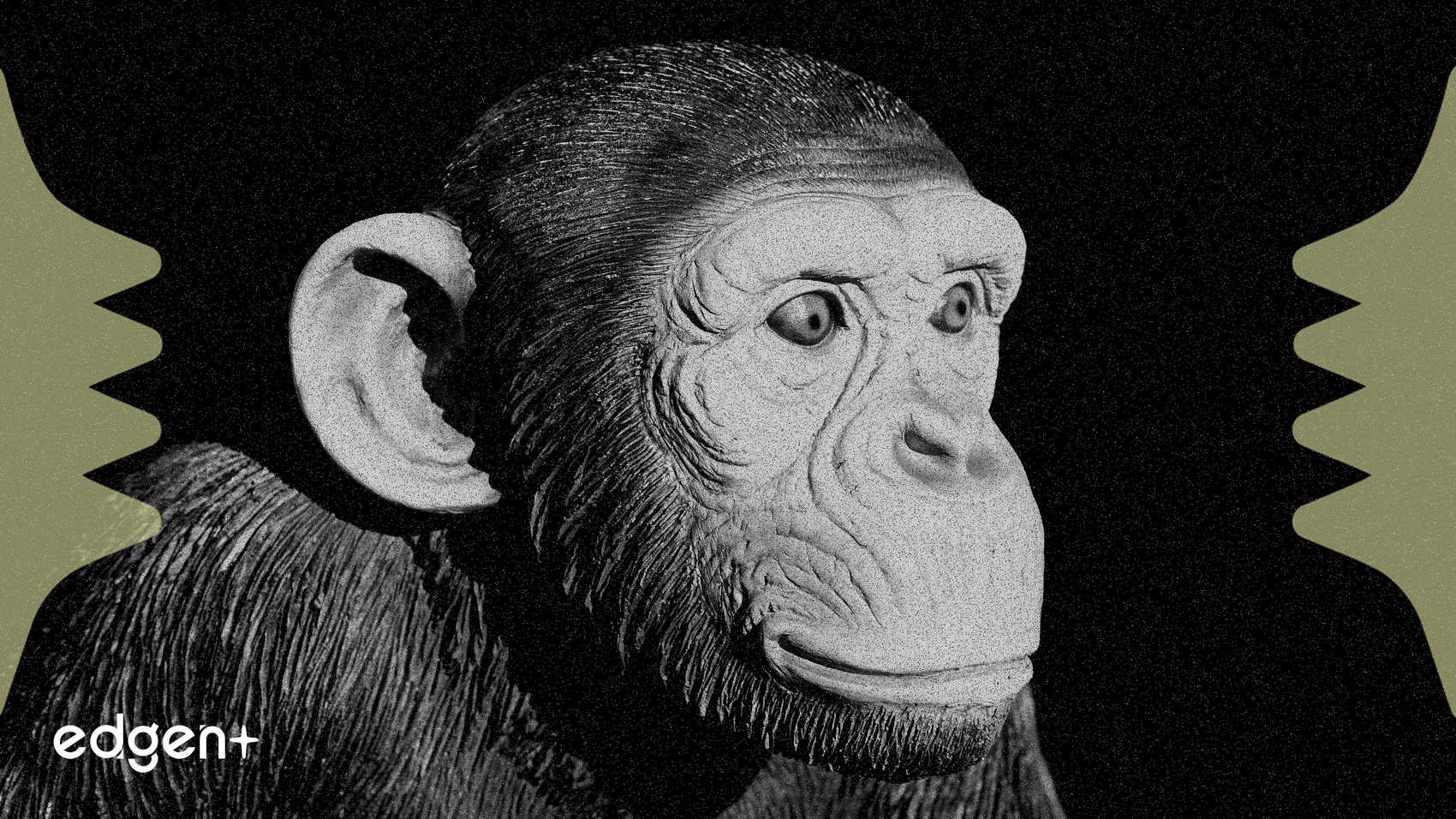 NFT Market Recovers $400 Million After $1.2 Billion Crash, Blue-Chip Collections Remain Down