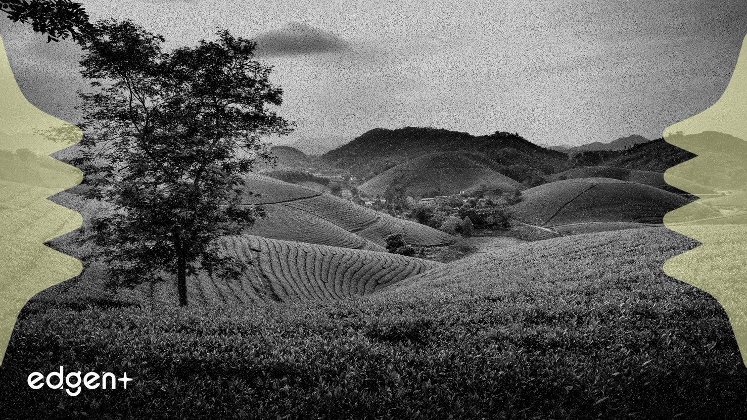 B of A Securities, Gübre Fiyat Endişeleri Ortasında Nutrien (NTR) Derecelendirmesini Ayarladı